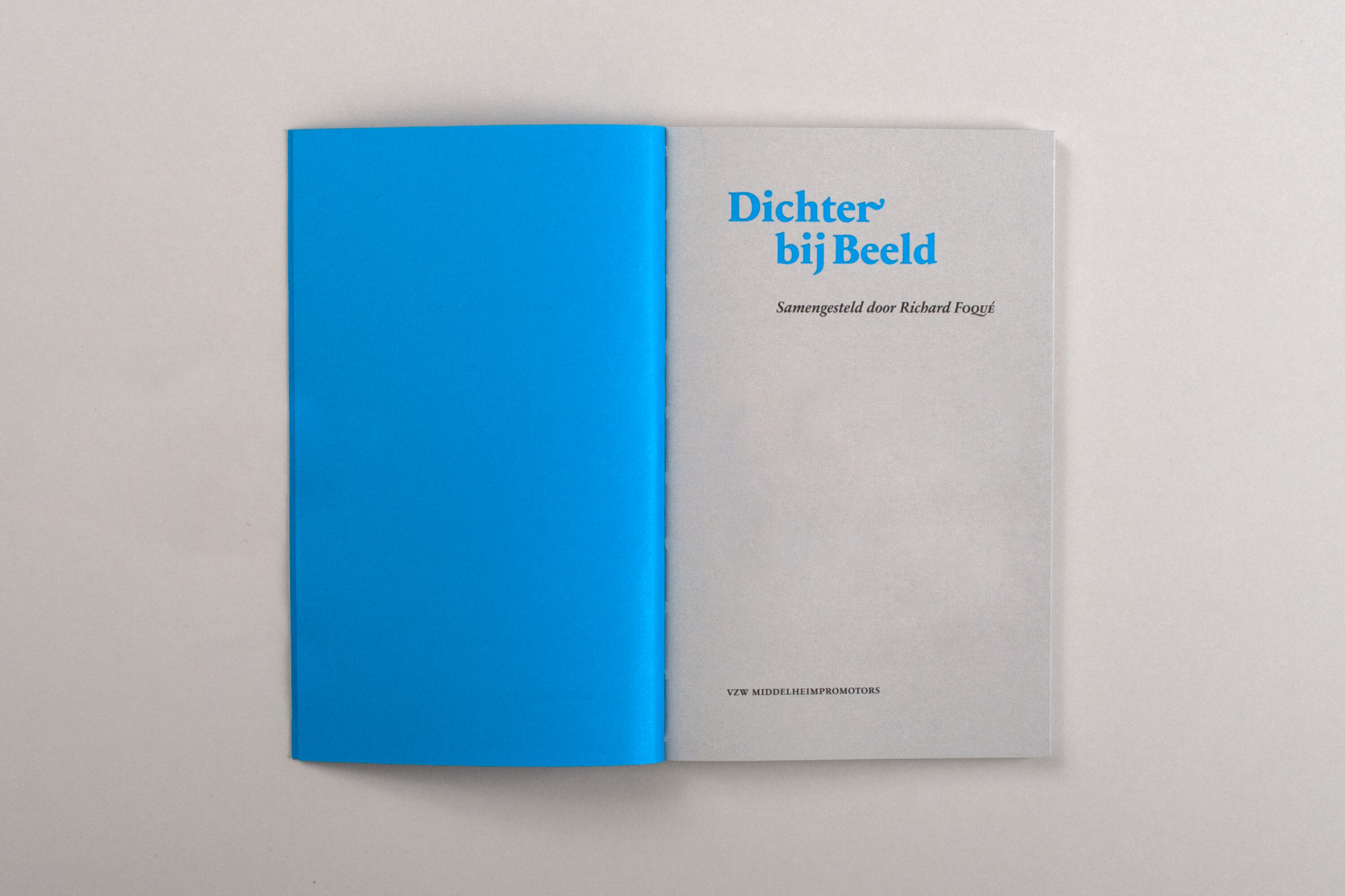 BDW_BD_dichter bij beeld_0