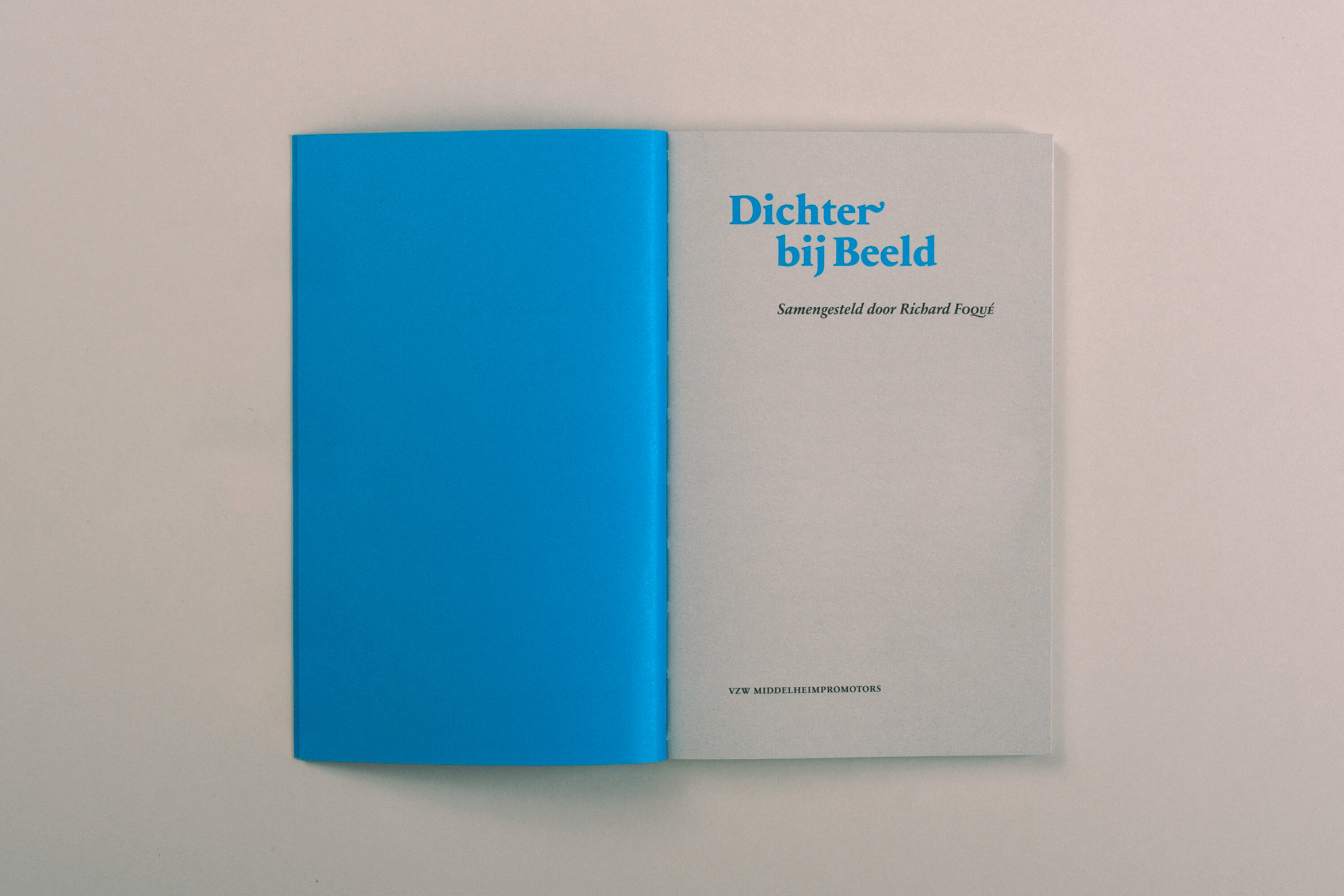 BDW_BD_dichter bij beeld_11