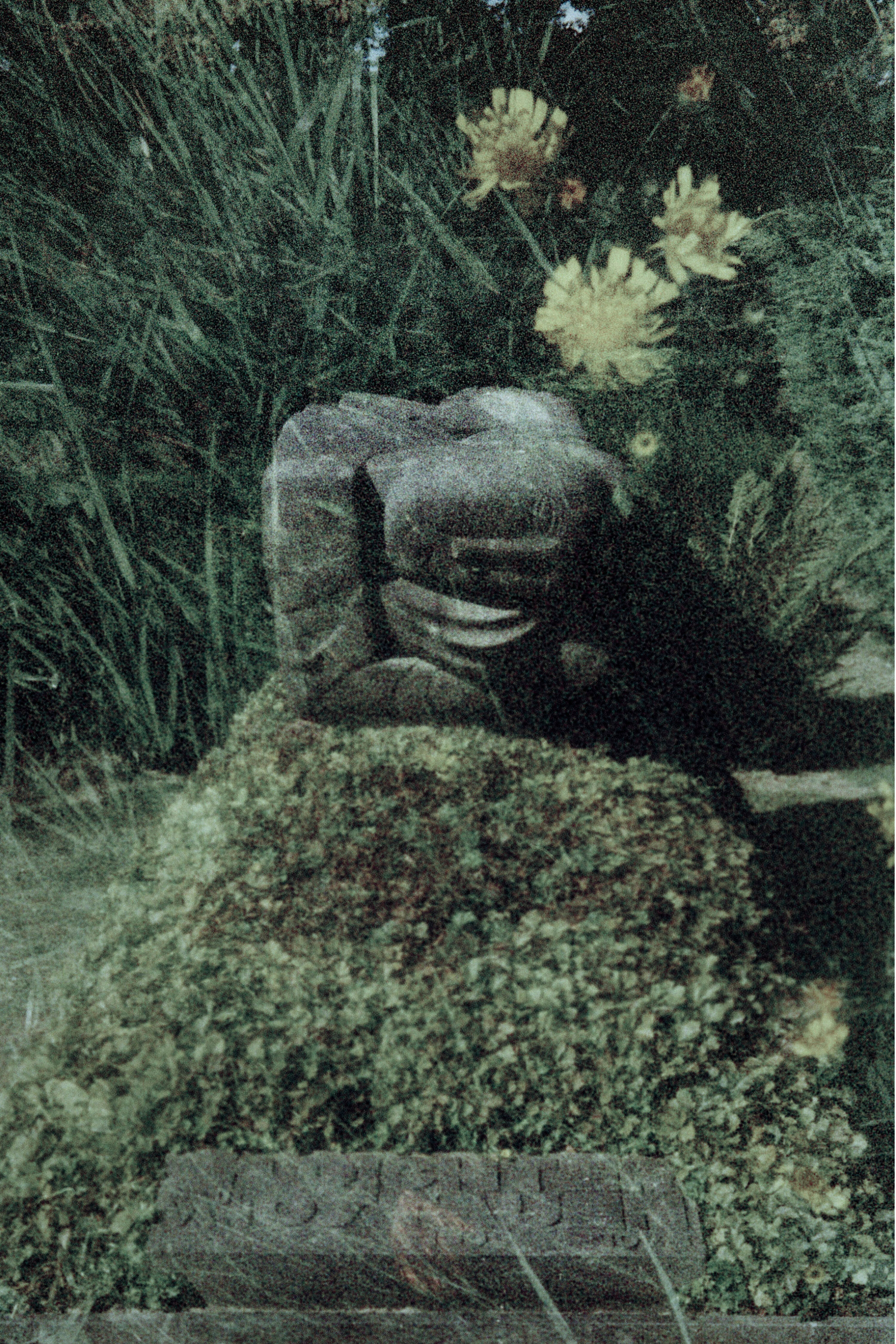 BDW_BD_mount olympus_6