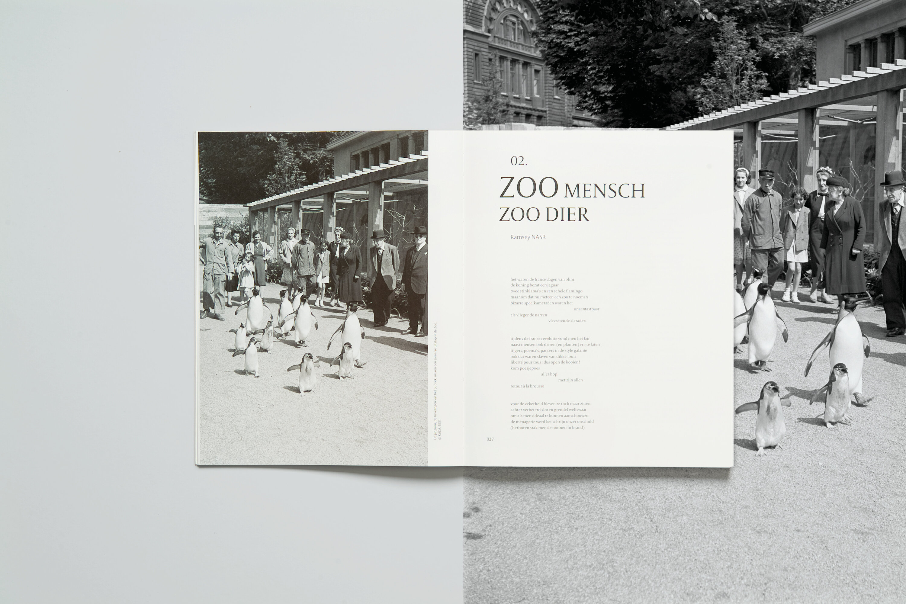 MAS_Bd_ZooBeeldig10