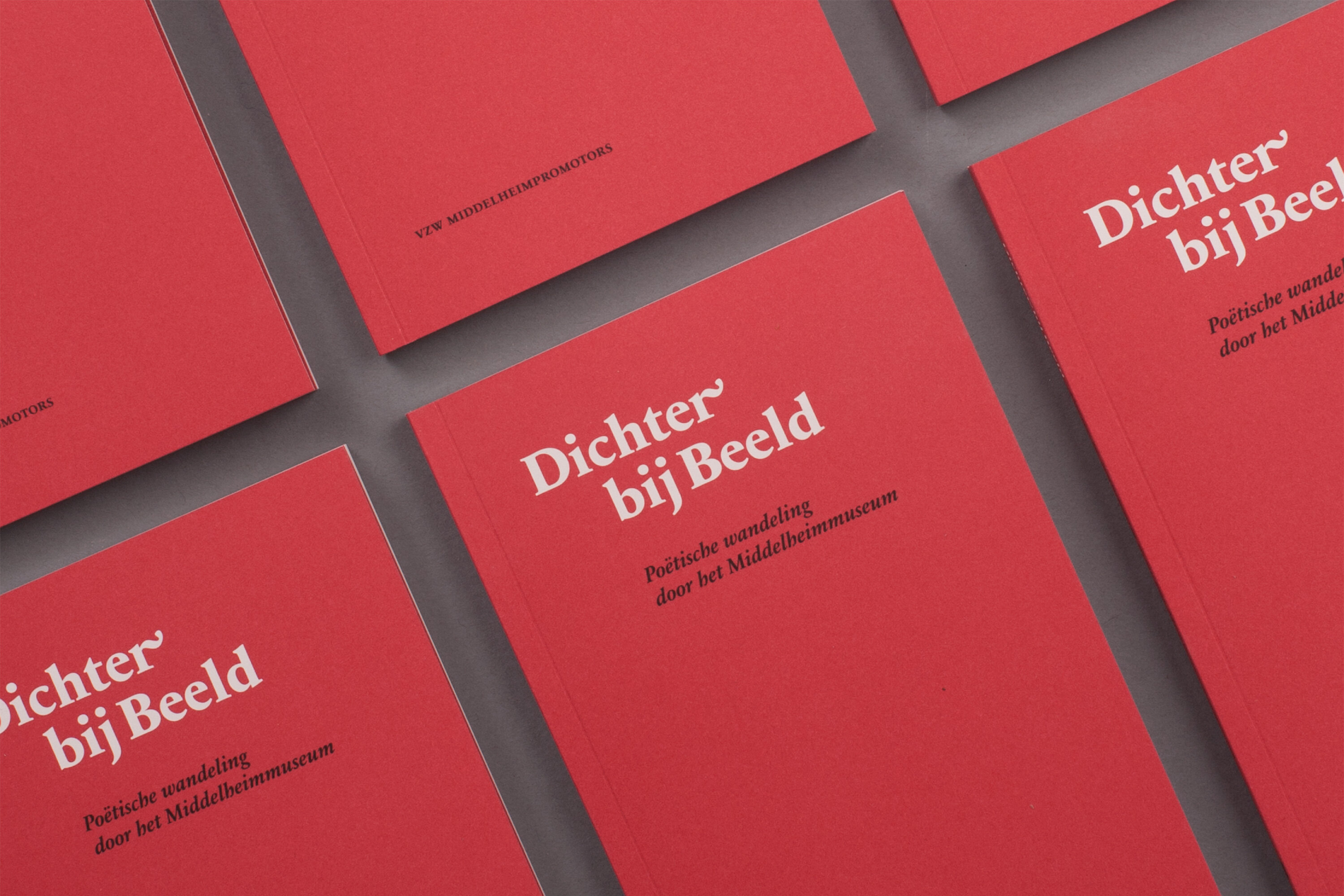 MIP_BD_DichterbijBeeld2_1