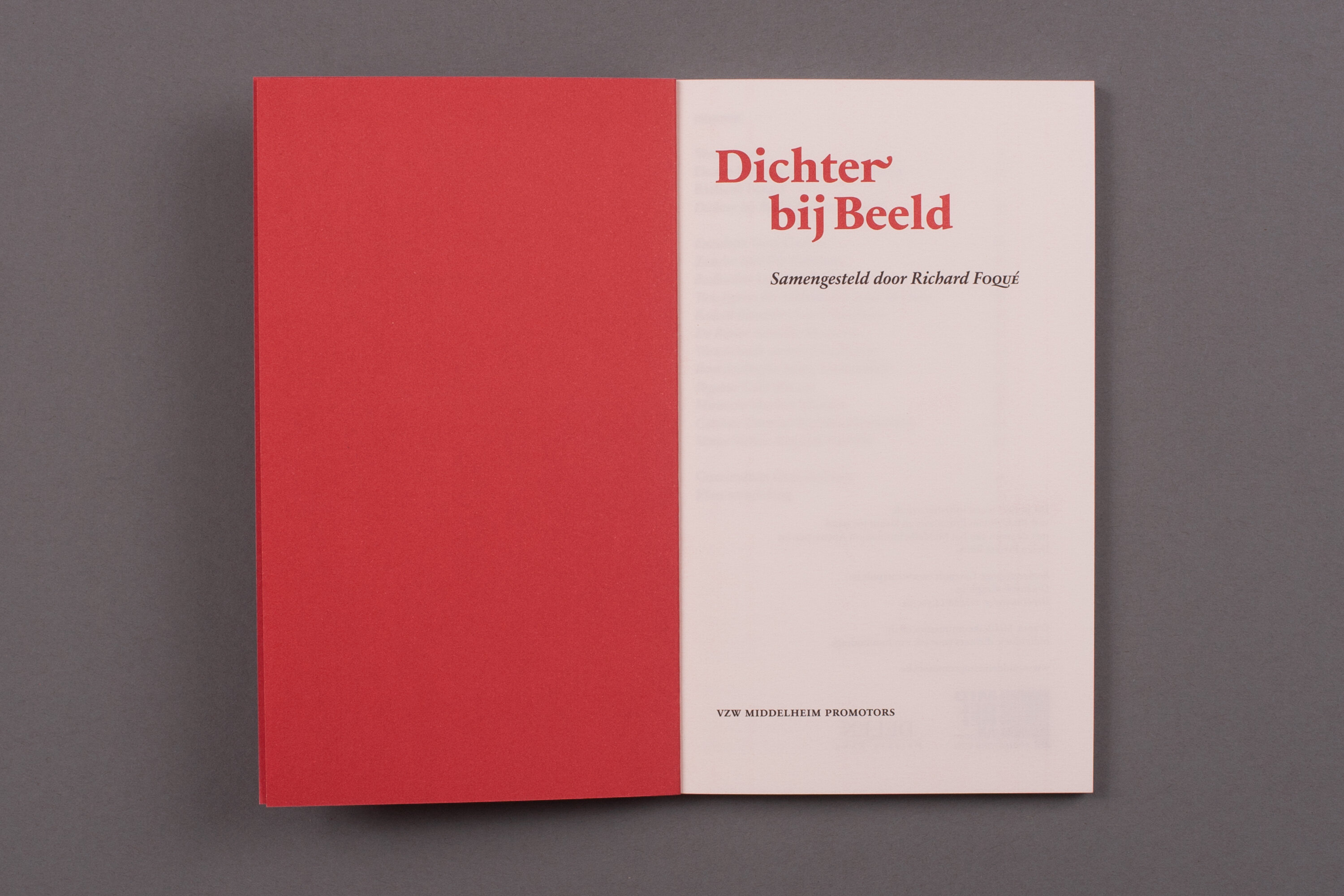 MIP_BD_DichterbijBeeld2_2