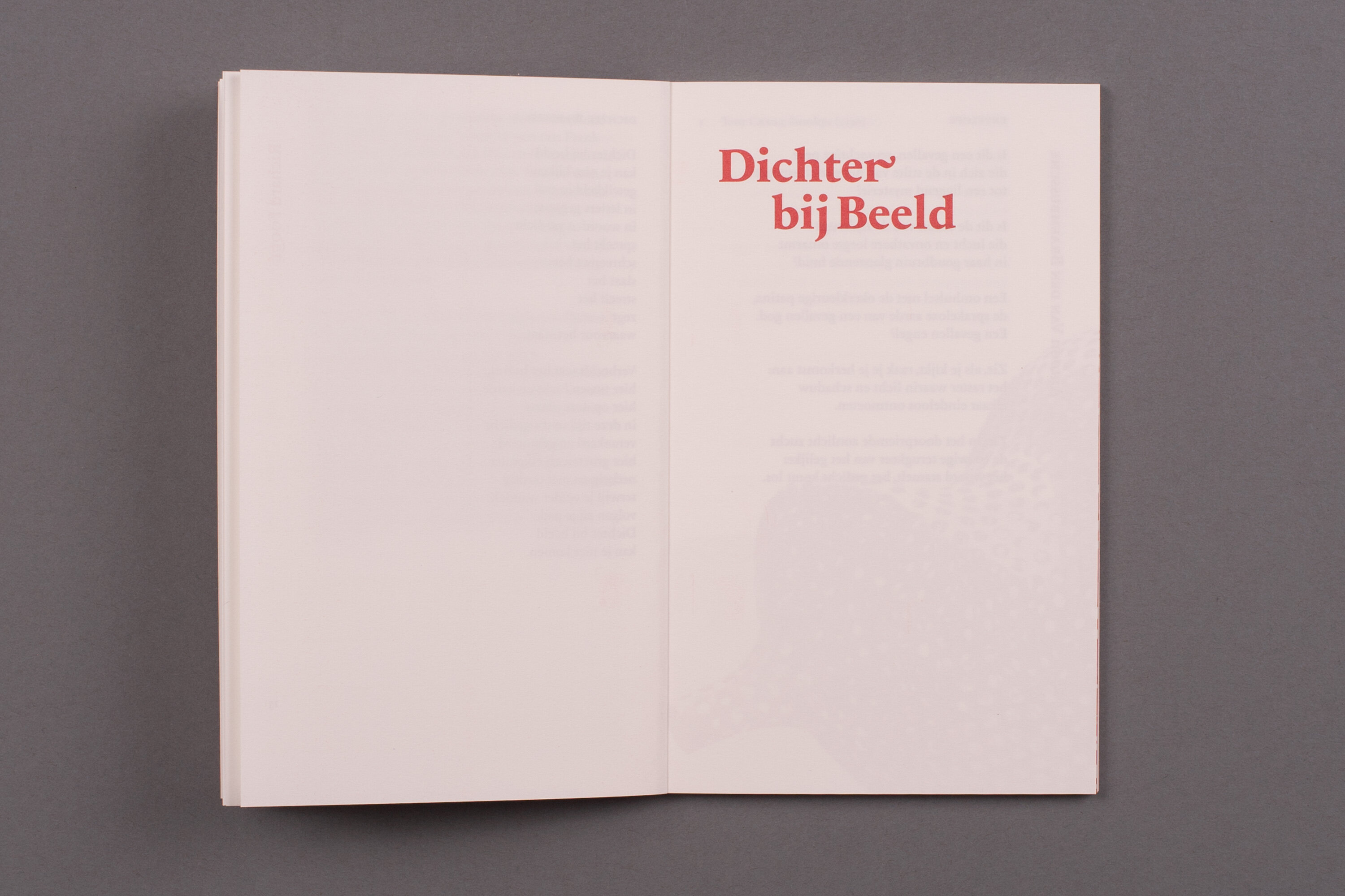 MIP_BD_DichterbijBeeld2_6
