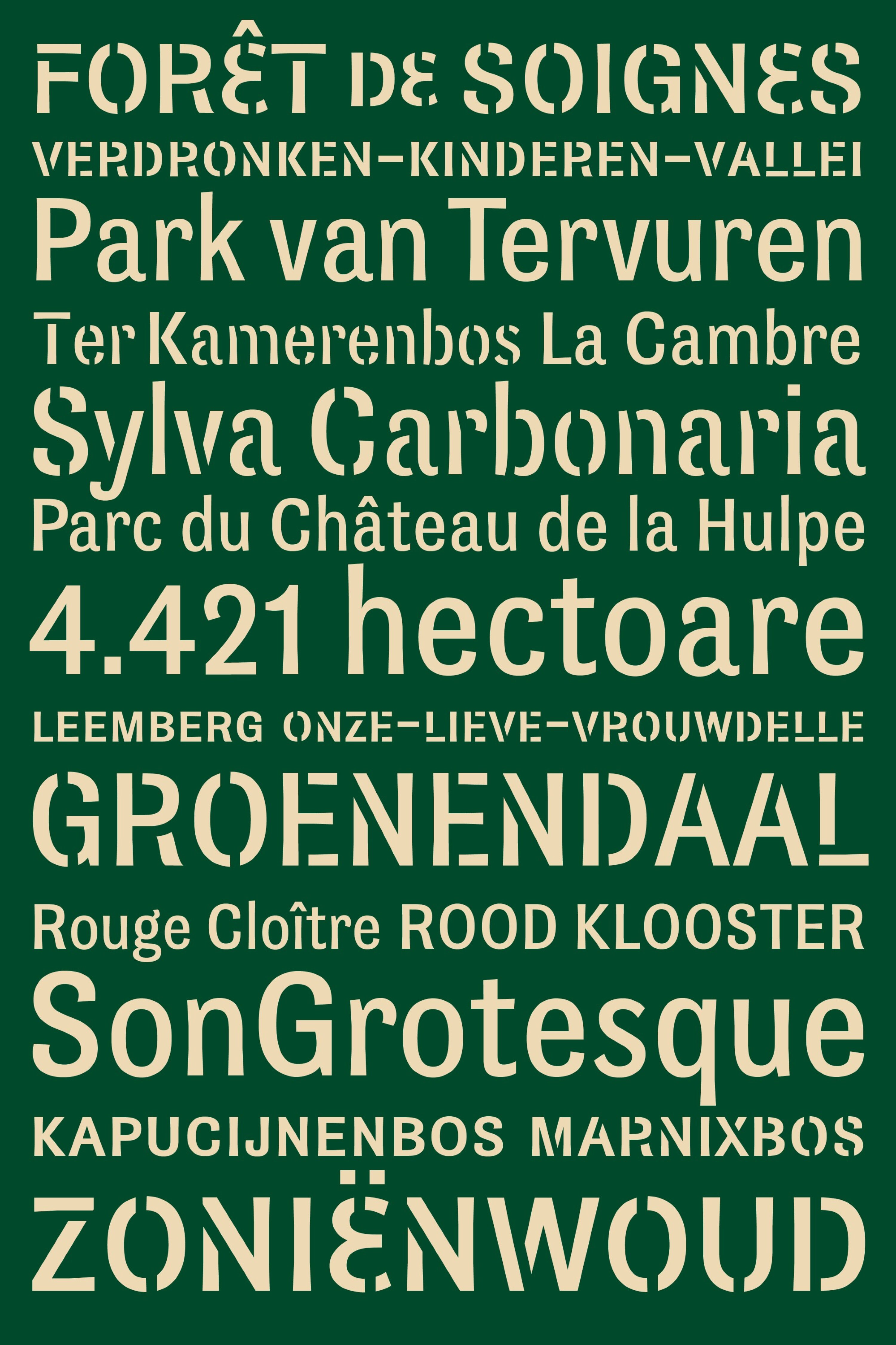 SON_TD_SonGrotesque_2