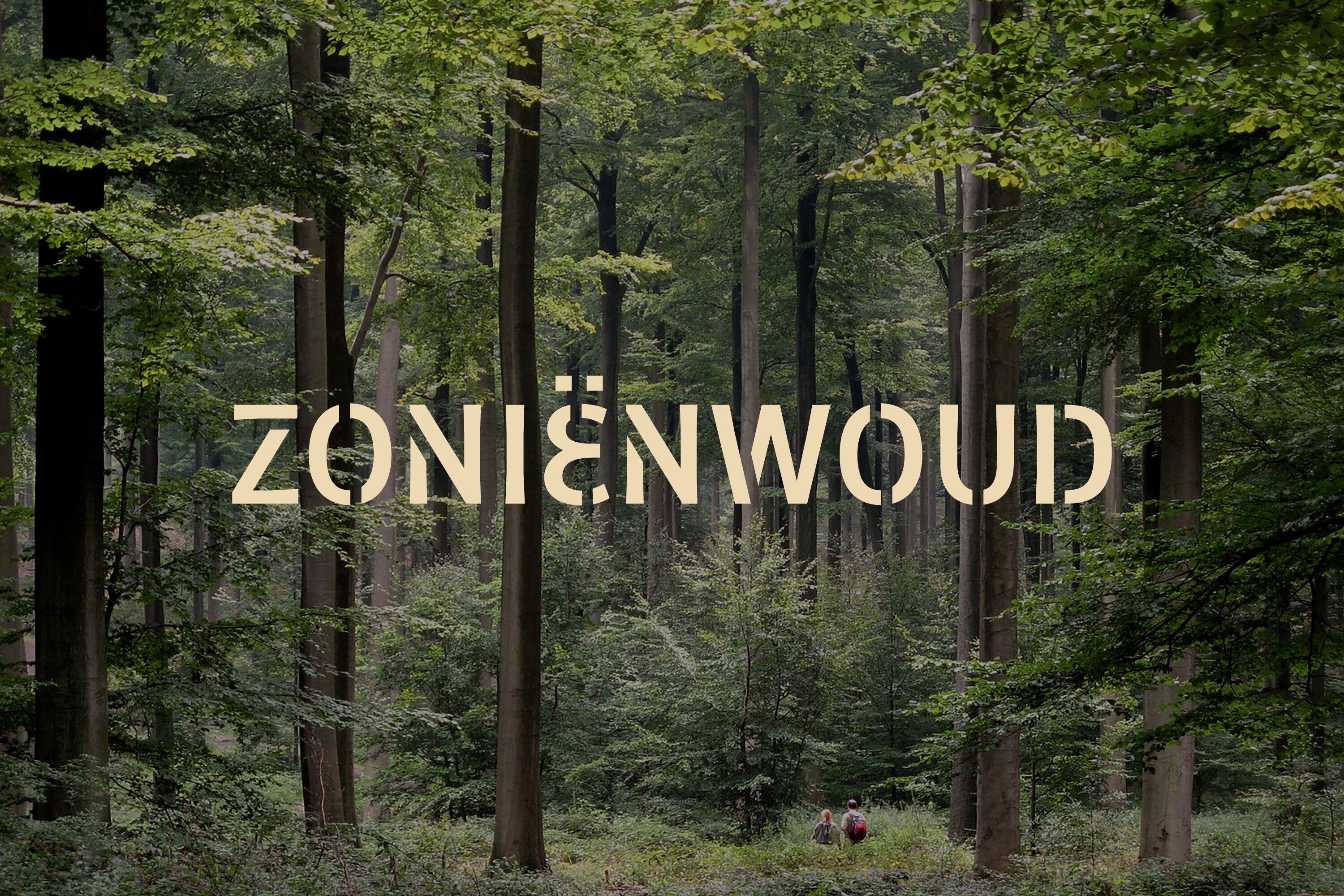 ZON_BD_20