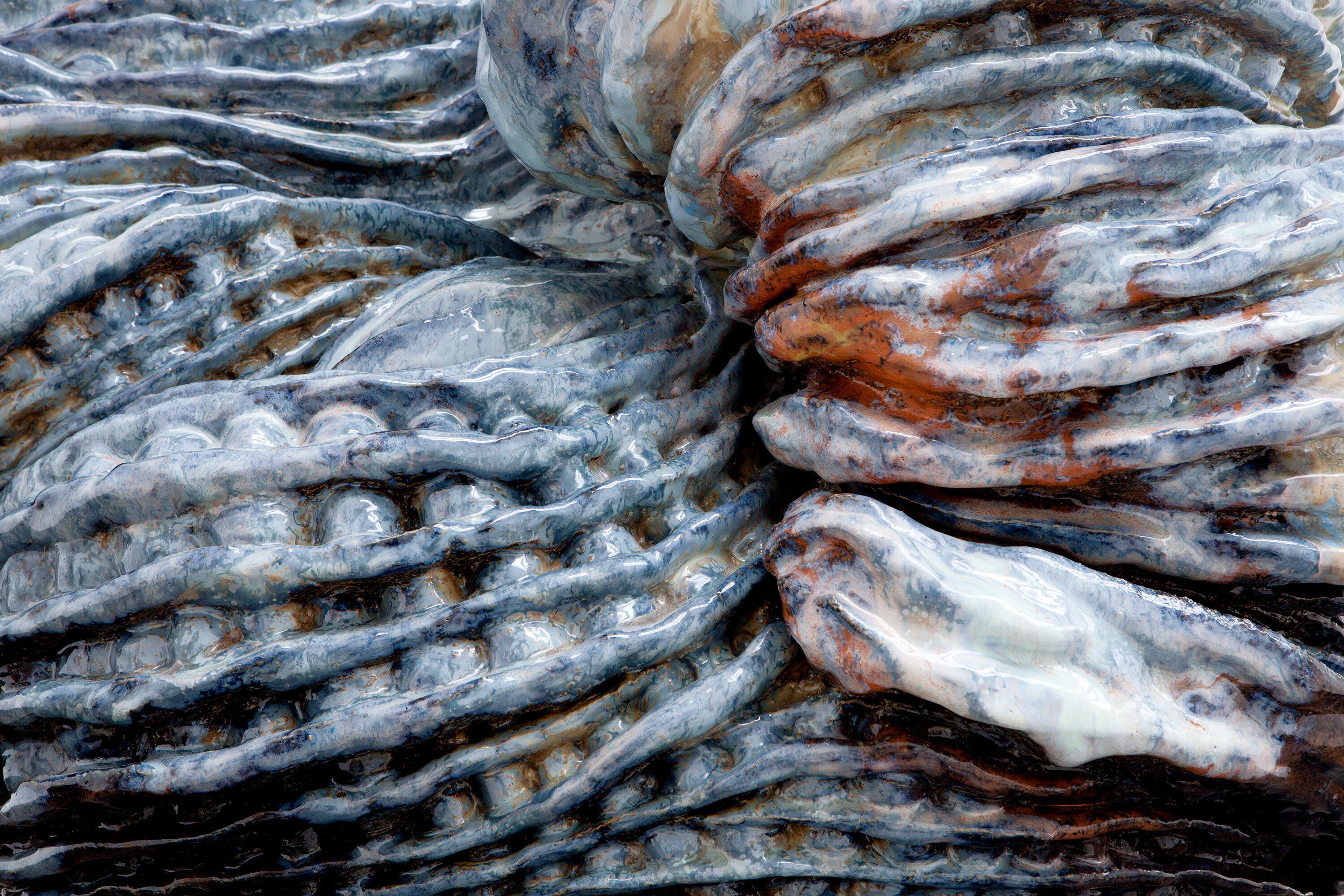 cre_boek_monaco_beeld_detail