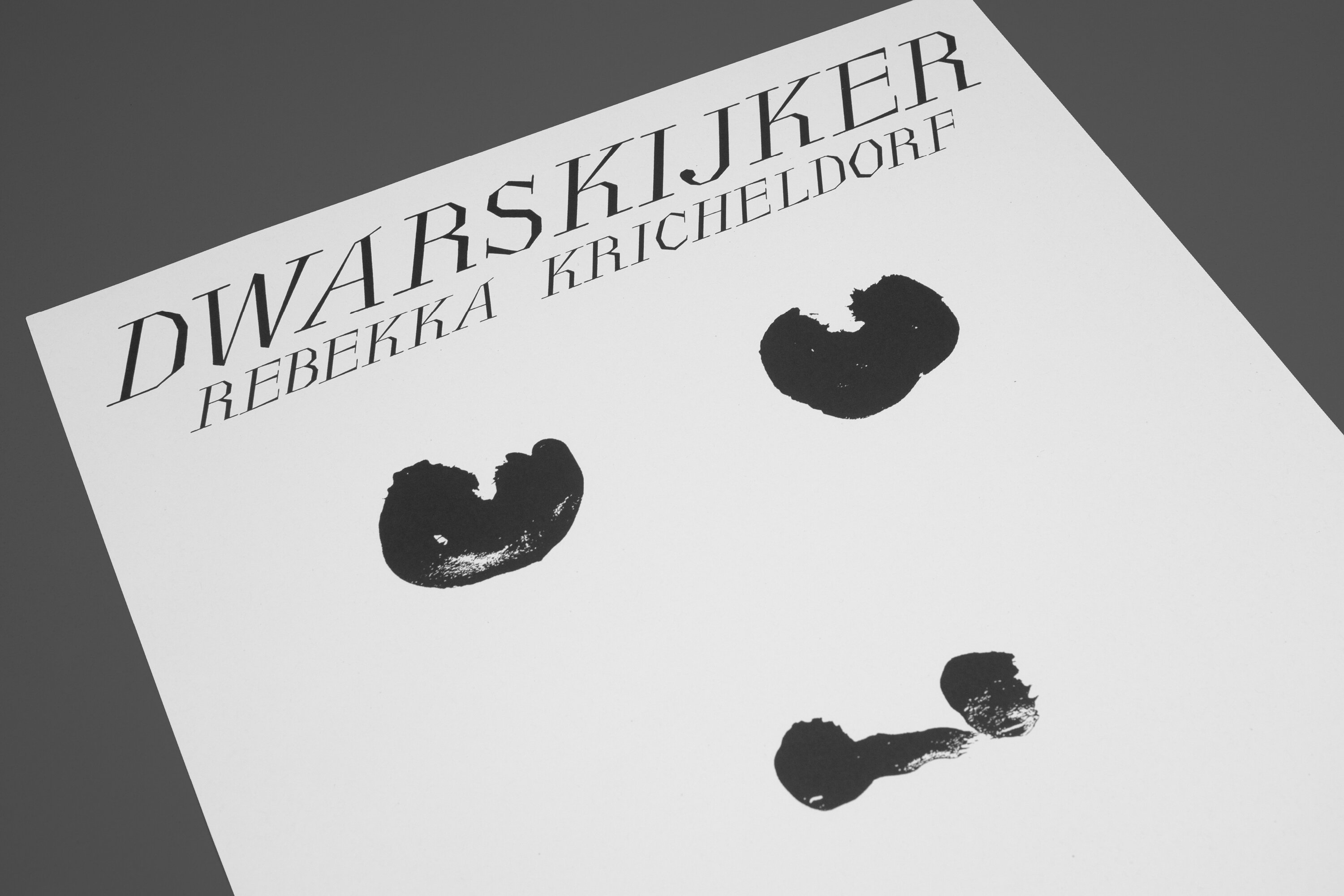 de roovers poster 3000x2000_DWARSKIJKER_5