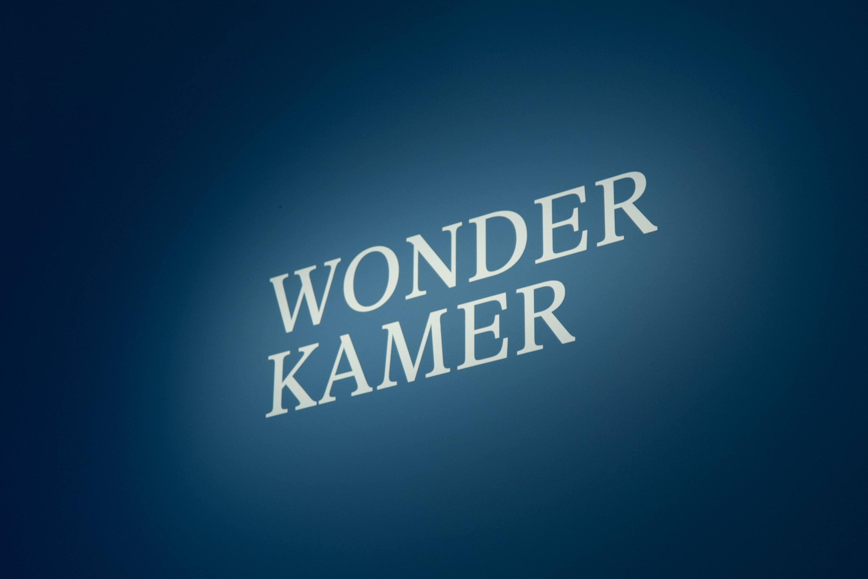 Publiekslievelingen_Wonderkamer_©catapult