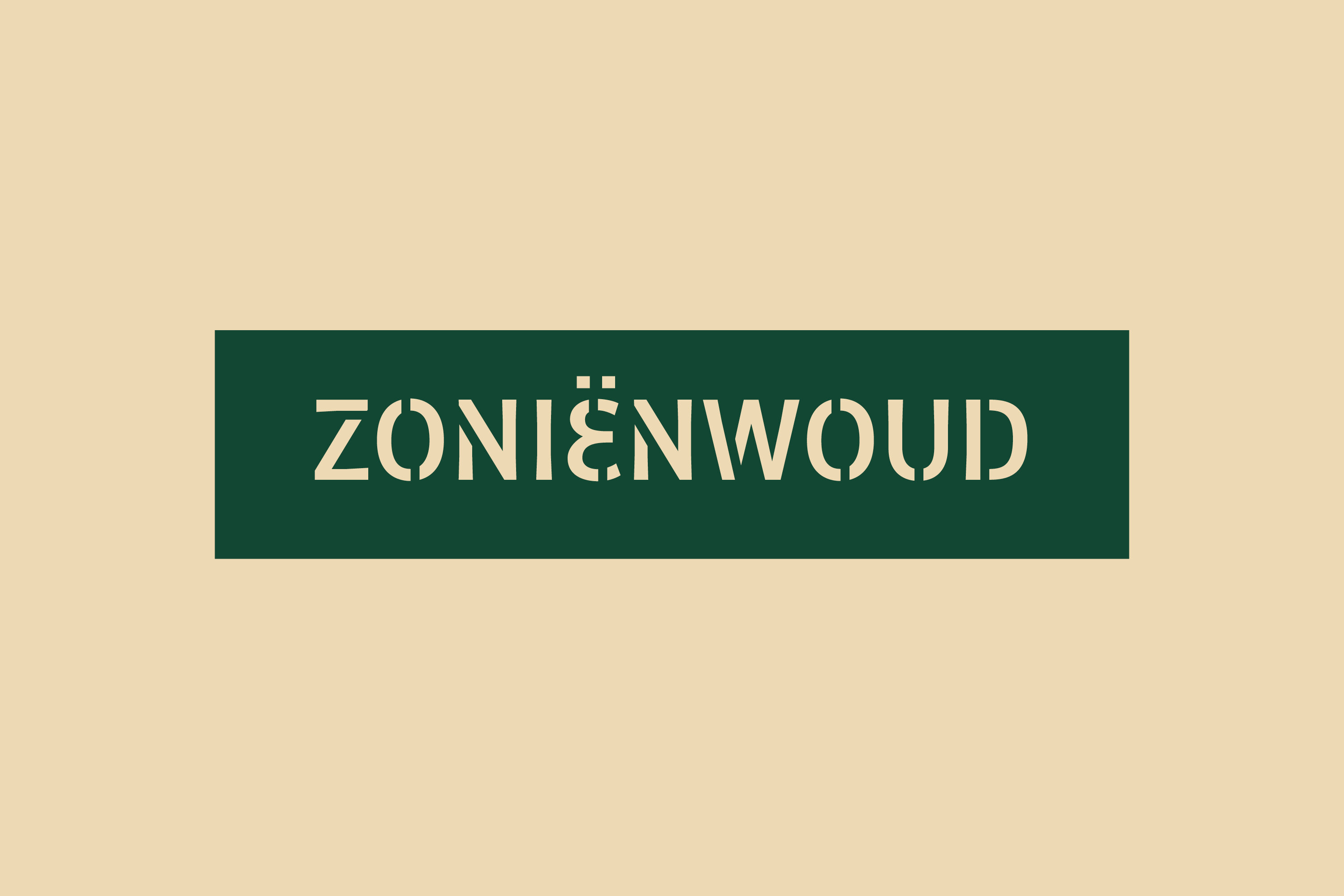 ZON_Case_01